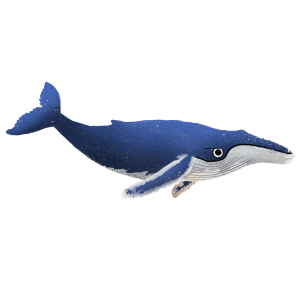 Humpback_Whale 2 Humpback_Whale 2